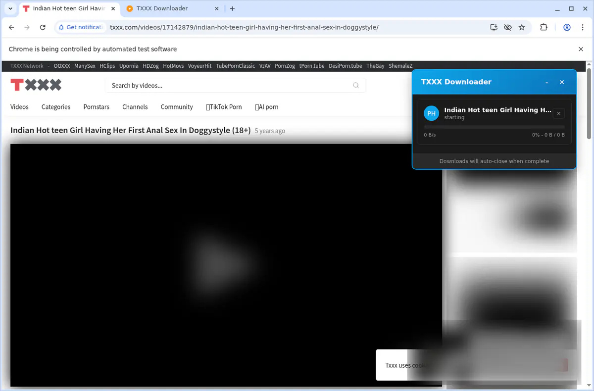 TXXX Video Downloader screenshot 3